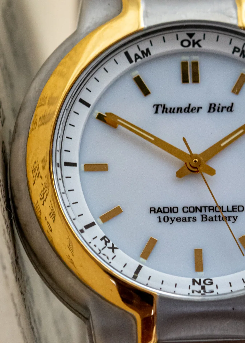 Radio Controlled — Tunder Bird