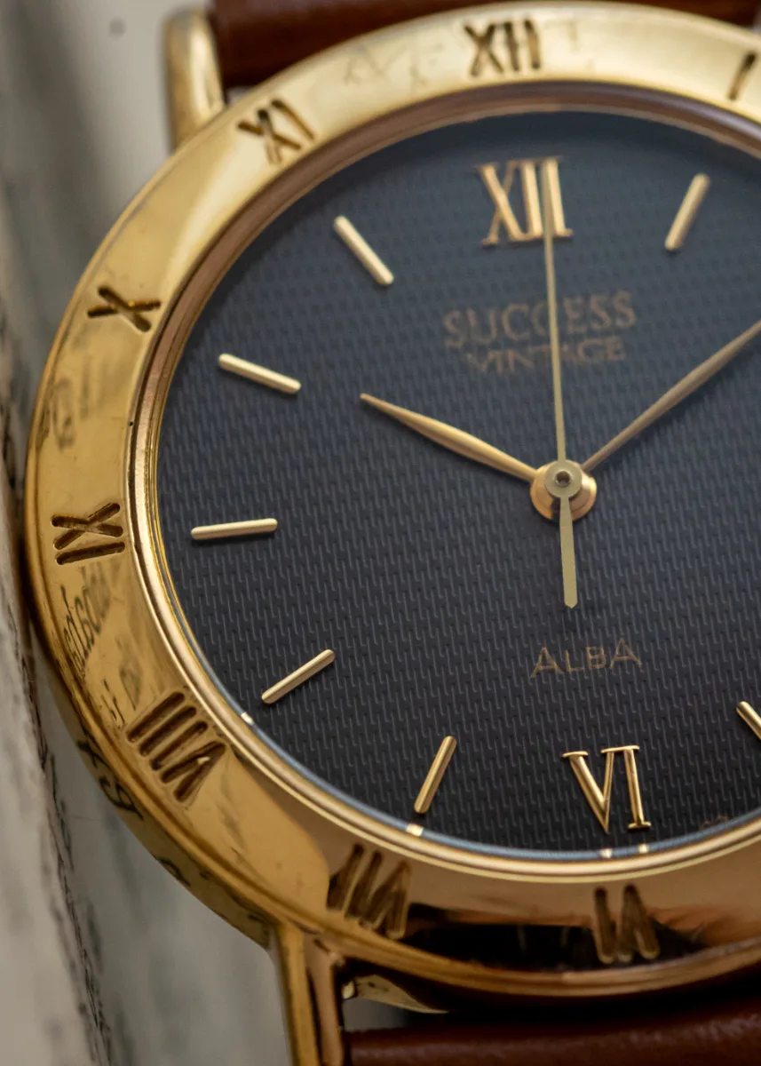 Succes Vintage Lady — Alba